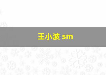 王小波 sm